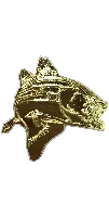5195 - Bass Fishing
