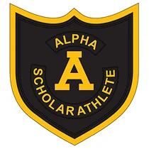 Shape Patches 2